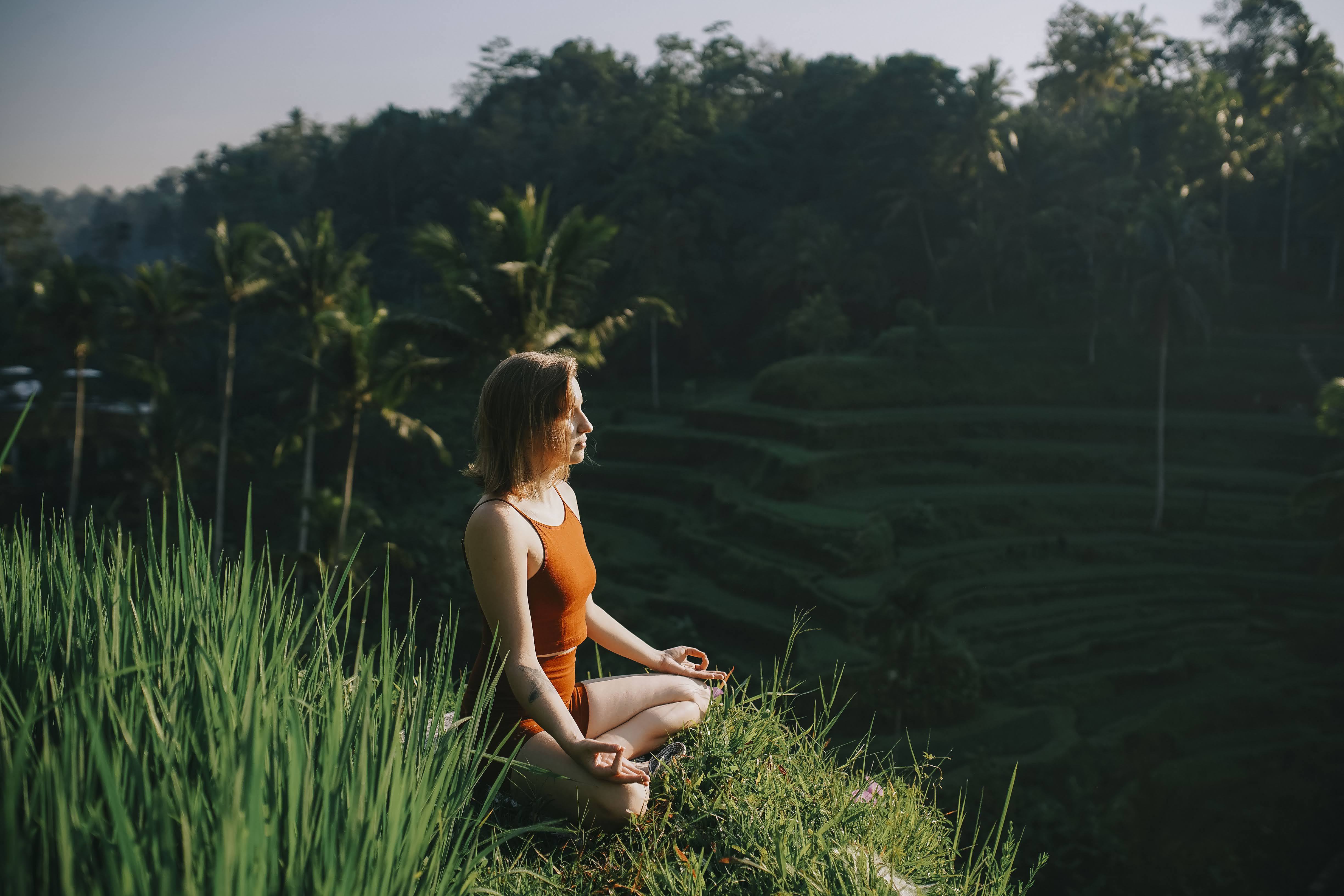 Meditatie bij de rijstvelden